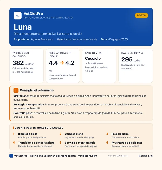 Prima pagina del PDF per il proprietario generato da VetDietPro: intestazione con il nome del paziente e la dieta, le schede del fabbisogno calorico, del peso, della fase di vita e della razione totale, i consigli del veterinario e l’indice del documento.